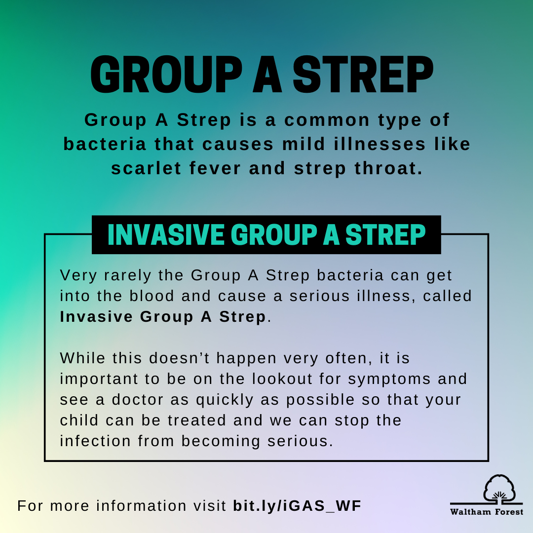 01_Group A Strep_Intro The Hub Waltham Forest Education Hub